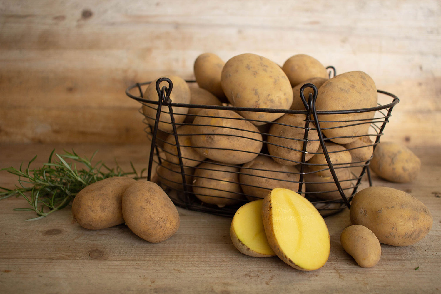 Belana Kartoffeln aus der Lüneburger Heide bei Wischhofs Hofladen kaufen