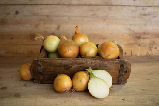 Frische Zwiebeln aus der Region bei Wischhof´s Hofladen